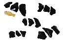series1_image213.webp