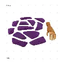 AELIG HOLDS - UPDATE SET - AUGUST360.webp