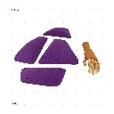AELIG HOLDS - UPDATE SET - AUGUST363.webp
