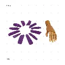 AELIG HOLDS - UPDATE SET - AUGUST357.webp