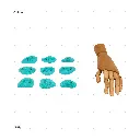 AELIG HOLDS - UPDATE SET - AUGUST289.webp