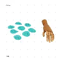 AELIG HOLDS - UPDATE SET - AUGUST293.webp