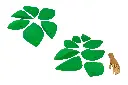 image183.webp