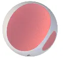 image7.webp