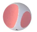 image5.webp