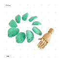 AELIG HOLDS - UPDATE SET - AUGUST221.webp