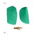 AELIG HOLDS - UPDATE SET - AUGUST147.webp