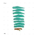 AELIG HOLDS - UPDATE SET - AUGUST51.webp