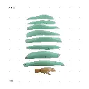 AELIG HOLDS - UPDATE SET - AUGUST4.webp