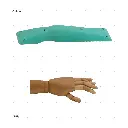 AELIG HOLDS - UPDATE SET - AUGUST100.webp
