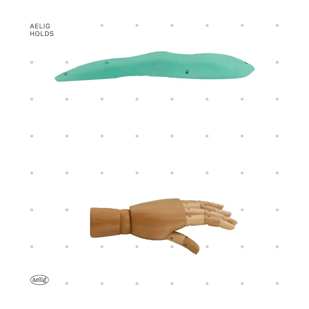 AELIG HOLDS - UPDATE SET - AUGUST265.webp