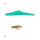 AELIG HOLDS - UPDATE SET - AUGUST188.webp