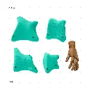 AELIG HOLDS - UPDATE SET - AUGUST258.webp