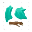 AELIG HOLDS - UPDATE SET - AUGUST164.webp