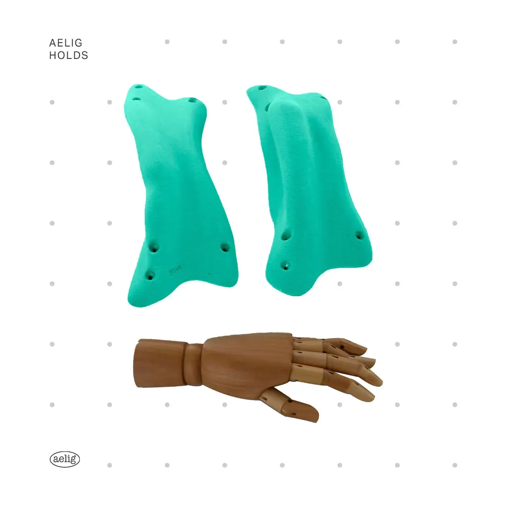 AELIG HOLDS - UPDATE SET - AUGUST146.webp