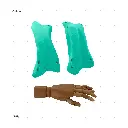 AELIG HOLDS - UPDATE SET - AUGUST146.webp