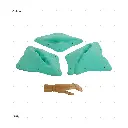 AELIG HOLDS - UPDATE SET - AUGUST80.webp