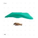 AELIG HOLDS - UPDATE SET - AUGUST76.webp