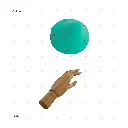AELIG HOLDS - UPDATE SET - AUGUST231.webp