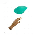 AELIG HOLDS - UPDATE SET - AUGUST81.webp