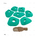 AELIG HOLDS - UPDATE SET - AUGUST97.webp