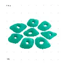 AELIG HOLDS - UPDATE SET - AUGUST101.webp