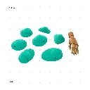 AELIG HOLDS - UPDATE SET - AUGUST118.webp