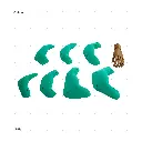 AELIG HOLDS - UPDATE SET - AUGUST255.webp