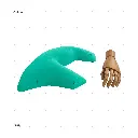 AELIG HOLDS - UPDATE SET - AUGUST202.webp