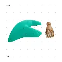 AELIG HOLDS - UPDATE SET - AUGUST136.webp