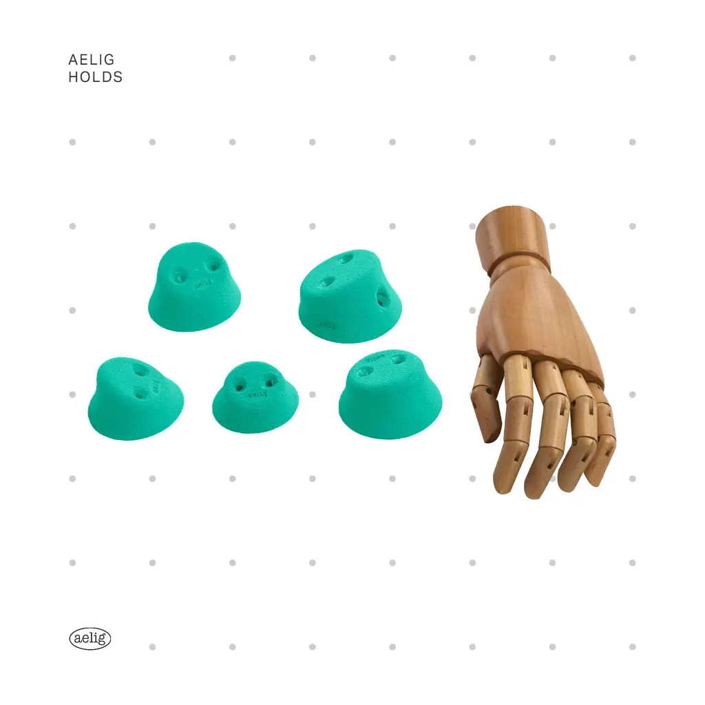 AELIG HOLDS - UPDATE SET - AUGUST190.webp