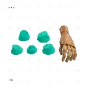 AELIG HOLDS - UPDATE SET - AUGUST190.webp