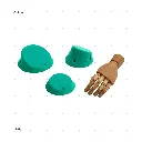 AELIG HOLDS - UPDATE SET - AUGUST184.webp