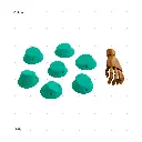 AELIG HOLDS - UPDATE SET - AUGUST117.webp
