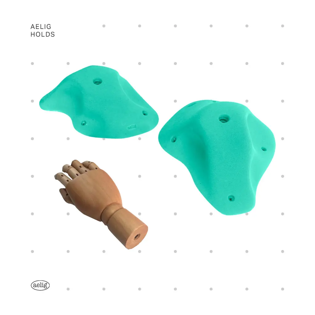 AELIG HOLDS - UPDATE SET - AUGUST42.webp