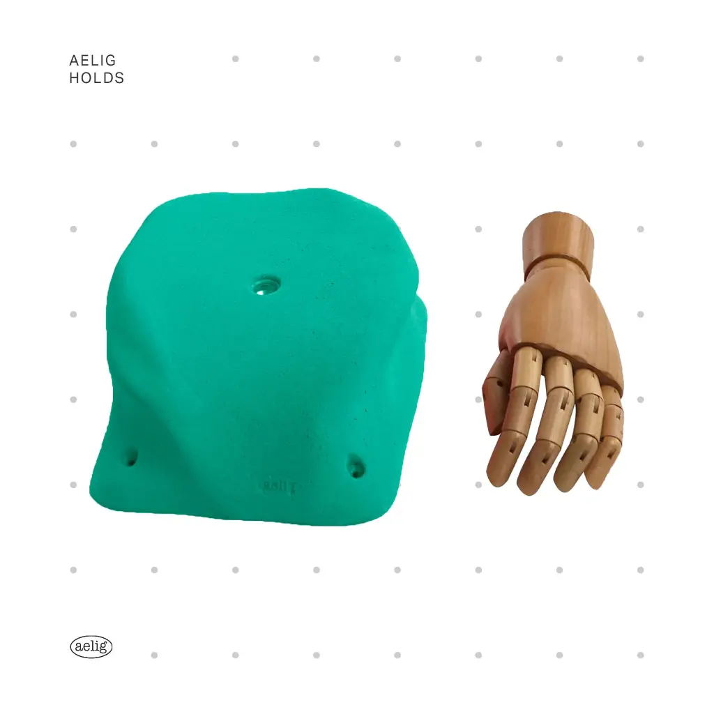 AELIG HOLDS - UPDATE SET - AUGUST248.webp