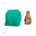 AELIG HOLDS - UPDATE SET - AUGUST248.webp