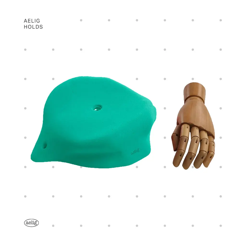 AELIG HOLDS - UPDATE SET - AUGUST134.webp
