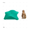 AELIG HOLDS - UPDATE SET - AUGUST269.webp