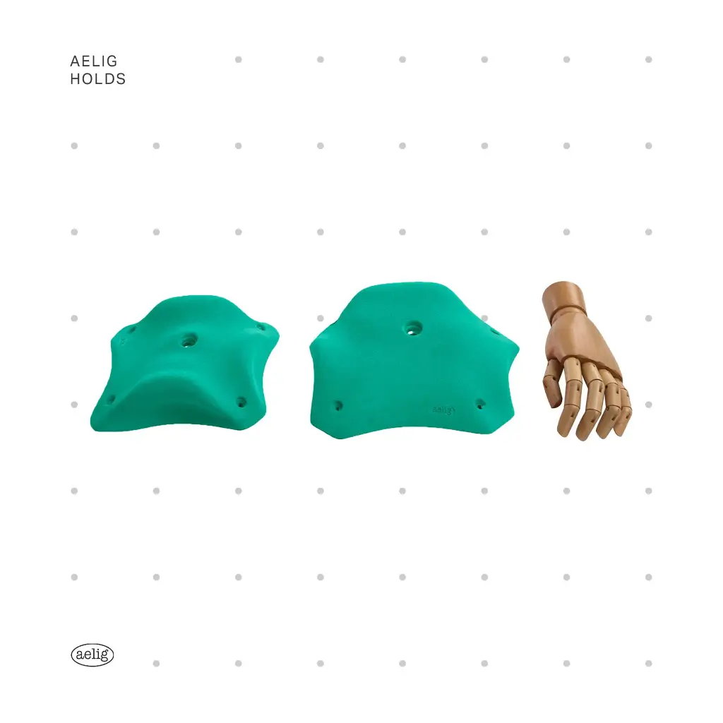 AELIG HOLDS - UPDATE SET - AUGUST140.webp