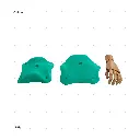 AELIG HOLDS - UPDATE SET - AUGUST140.webp