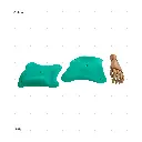 AELIG HOLDS - UPDATE SET - AUGUST232.webp