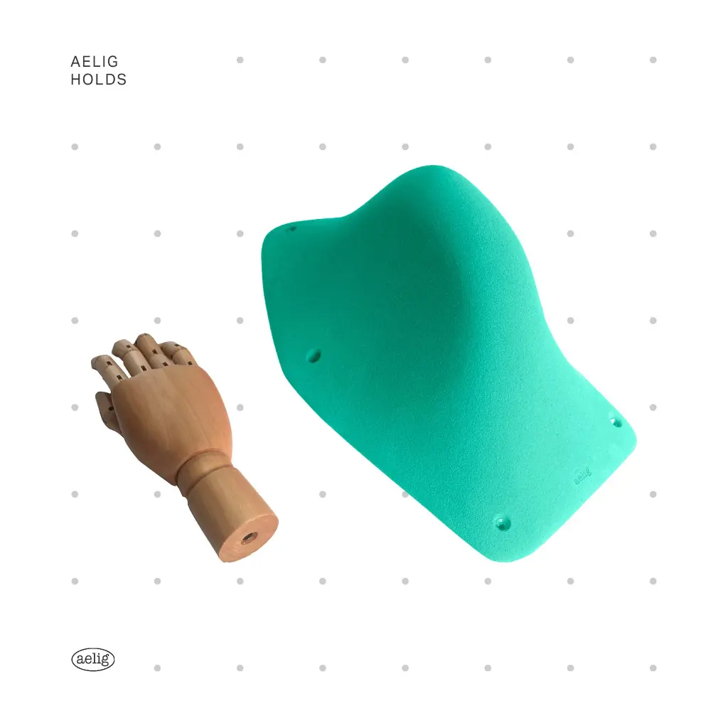 AELIG HOLDS - UPDATE SET - AUGUST13.webp