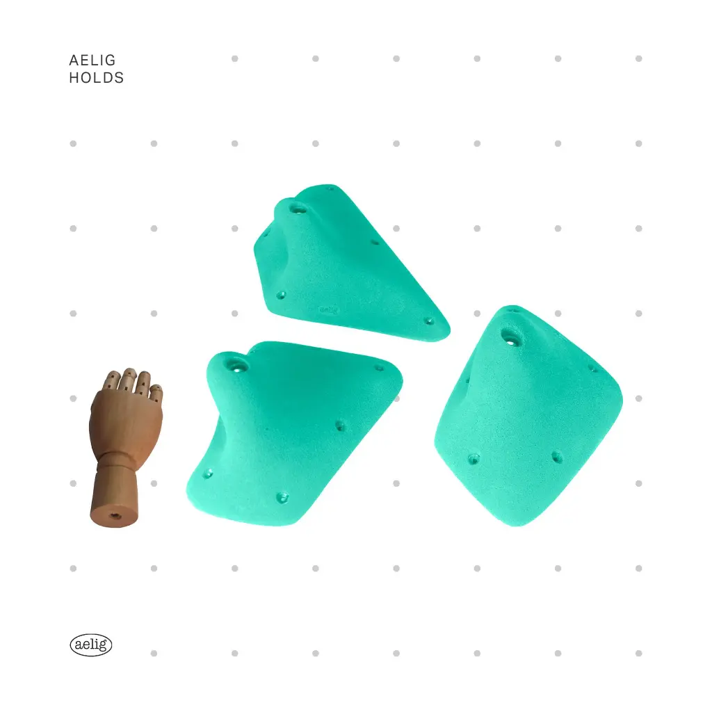 AELIG HOLDS - UPDATE SET - AUGUST60.webp
