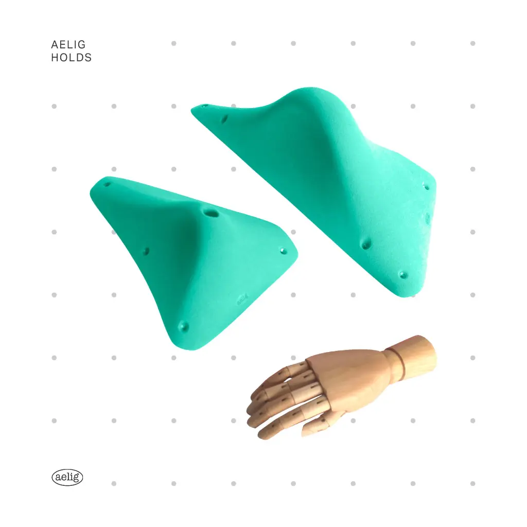 AELIG HOLDS - UPDATE SET - AUGUST46.webp