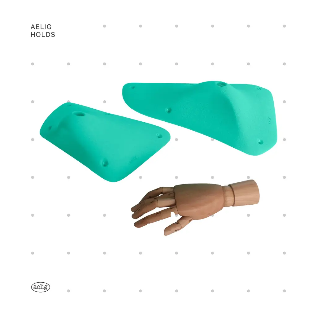 AELIG HOLDS - UPDATE SET - AUGUST75.webp
