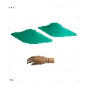 AELIG HOLDS - UPDATE SET - AUGUST45.webp