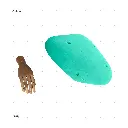 AELIG HOLDS - UPDATE SET - AUGUST54.webp