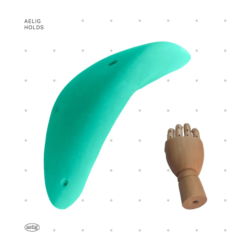 AELIG HOLDS - UPDATE SET - AUGUST40.webp