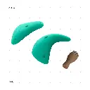 AELIG HOLDS - UPDATE SET - AUGUST47.webp